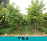 文章附图