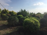 文章附图